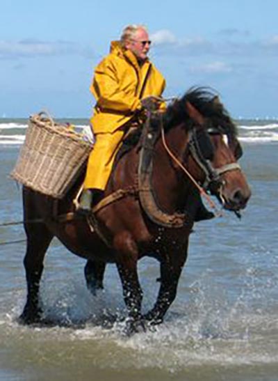 The Ancient Skill Of Shrimp Fishing On Horseback